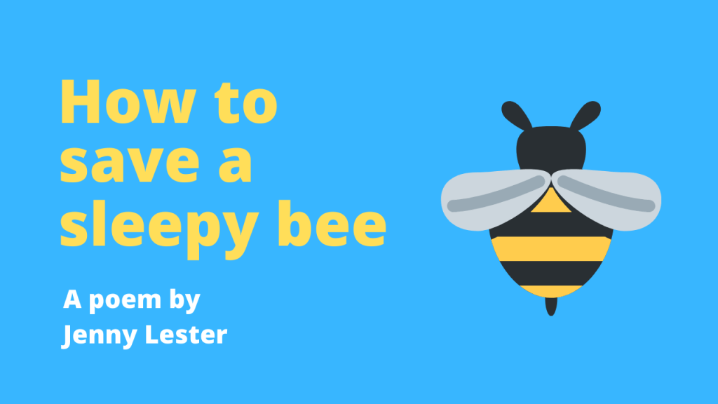 New video! How to Save a Sleepy Bee