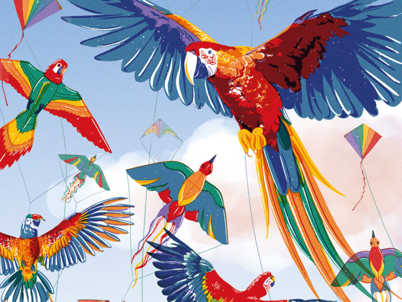 Article Published: Let’s Go Fly A&nbsp;Kite