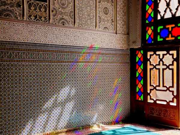 Article Published: sine lumine, pereo – without light I do not&nbsp;exist